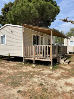 Charmant mobil-home premium 304